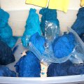 rinse, wash, rinse, wash, rinse, wash...