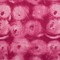 #33 magenta water lilies