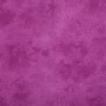 geranium