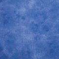 periwinkle