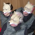The Mysterious Case of Goldilocks and the Three Little Wolves